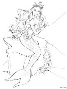 美人鱼之怒海娇娃3